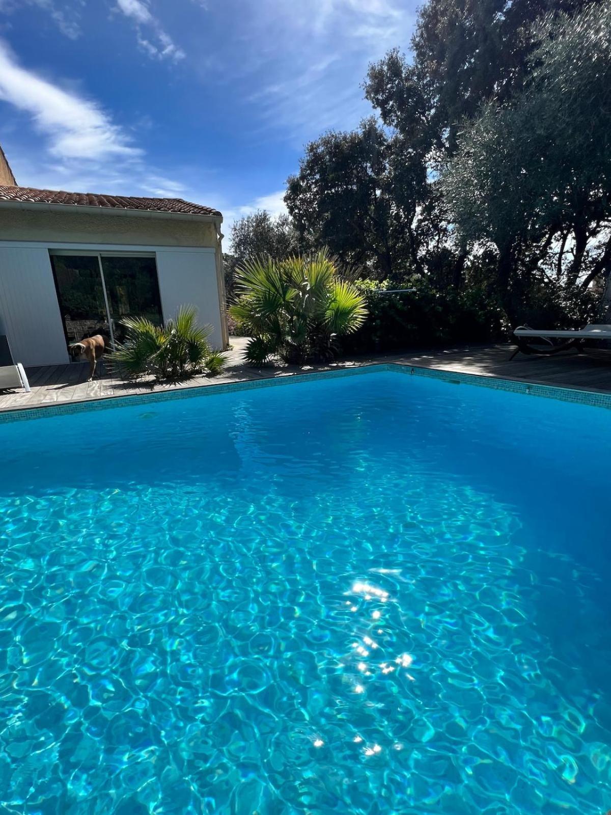 Le Havre De Paix En Garrigue 4 Chambres 3 Sdb Piscine Bezouce Exterior photo